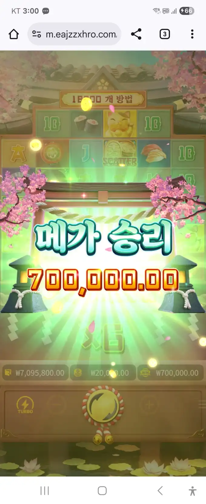1750081435709.webp