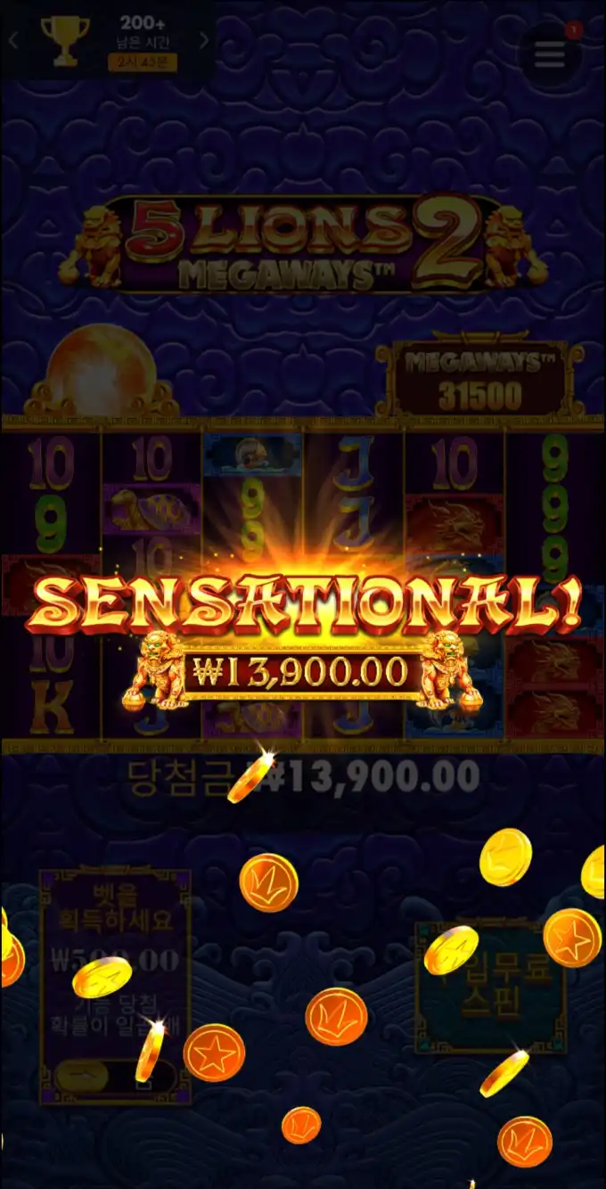 17507721516583.webp